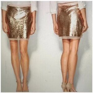Sabine Champagne Sequin Mini Skirt with Mesh